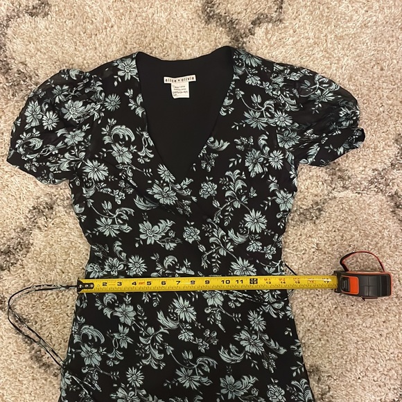 Alice + Olivia dress - Picture 14 of 15